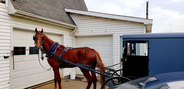 Parking the horse and buggy lancaster 