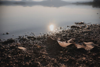 Scenic view of sea against sky during winter
