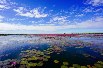 Scenic view of lake against cloudy sky