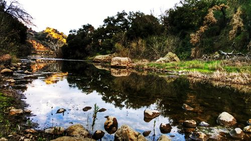 Reflection of trees in lake against sky
