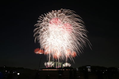 Low angle view of firework display at night