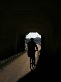 Rear view of man riding bicycle