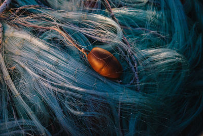 High angle view of fishing net