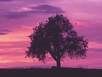 Silhouette tree on field against sky at sunset