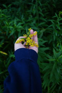 Cropped hand of woman holding flower