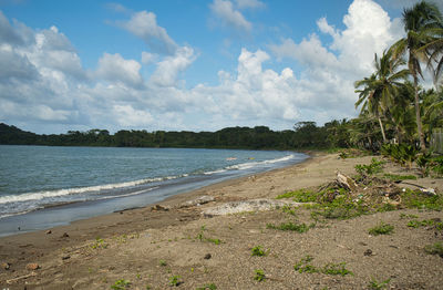 Scenic view of beach against sky