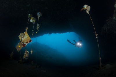 High angle view of woman snorkeling undersea