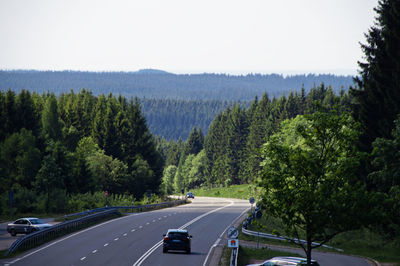 Cars on road by trees against sky