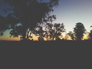 Silhouette trees on field against sky during sunset