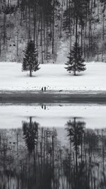 Reflection in the mountain lake. 