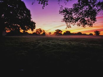 Silhouette trees on field against sky during sunset