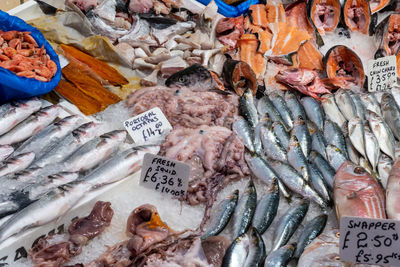 Fish and seafood for sale at a market in london, uk