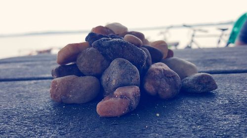 Close-up of shells on table