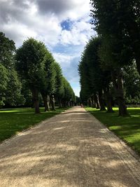 Trees and grass against sky