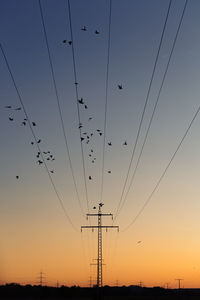 Low angle view of power pylon and birds flying against sky during sunset
