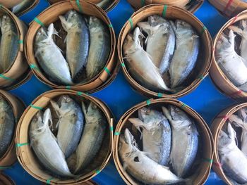 Close-up of fish for sale in market