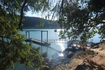 High angle view of trees by lake in forest