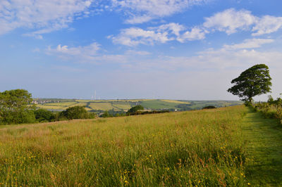 Scenic view of field against sky