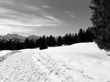 Scenic view of snow covered landscape against sky