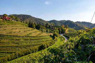 The hills of prosecco, unesco world heritage site
