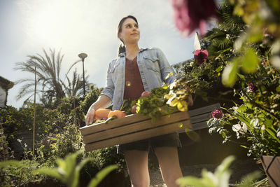 Low angle view of thoughtful woman carrying crate full of freshly harvested vegetables at organic farm