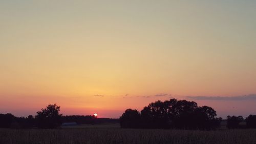 Silhouette trees on field against romantic sky at sunset