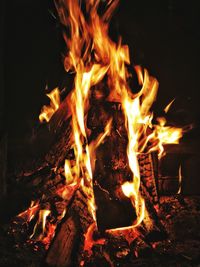 Close-up of bonfire at night