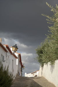 Houses amidst trees and buildings against sky