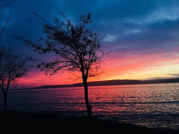 Silhouette tree by sea against sky during sunset