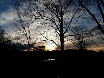 Silhouette bare trees on field against sky during sunset