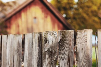 Close-up of wooden fence in forest