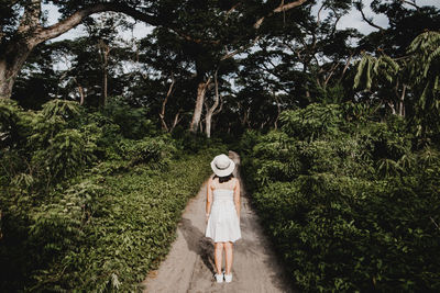 Rear view of woman standing on footpath amidst trees