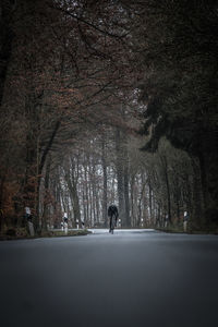 Man walking on snow covered road in forest