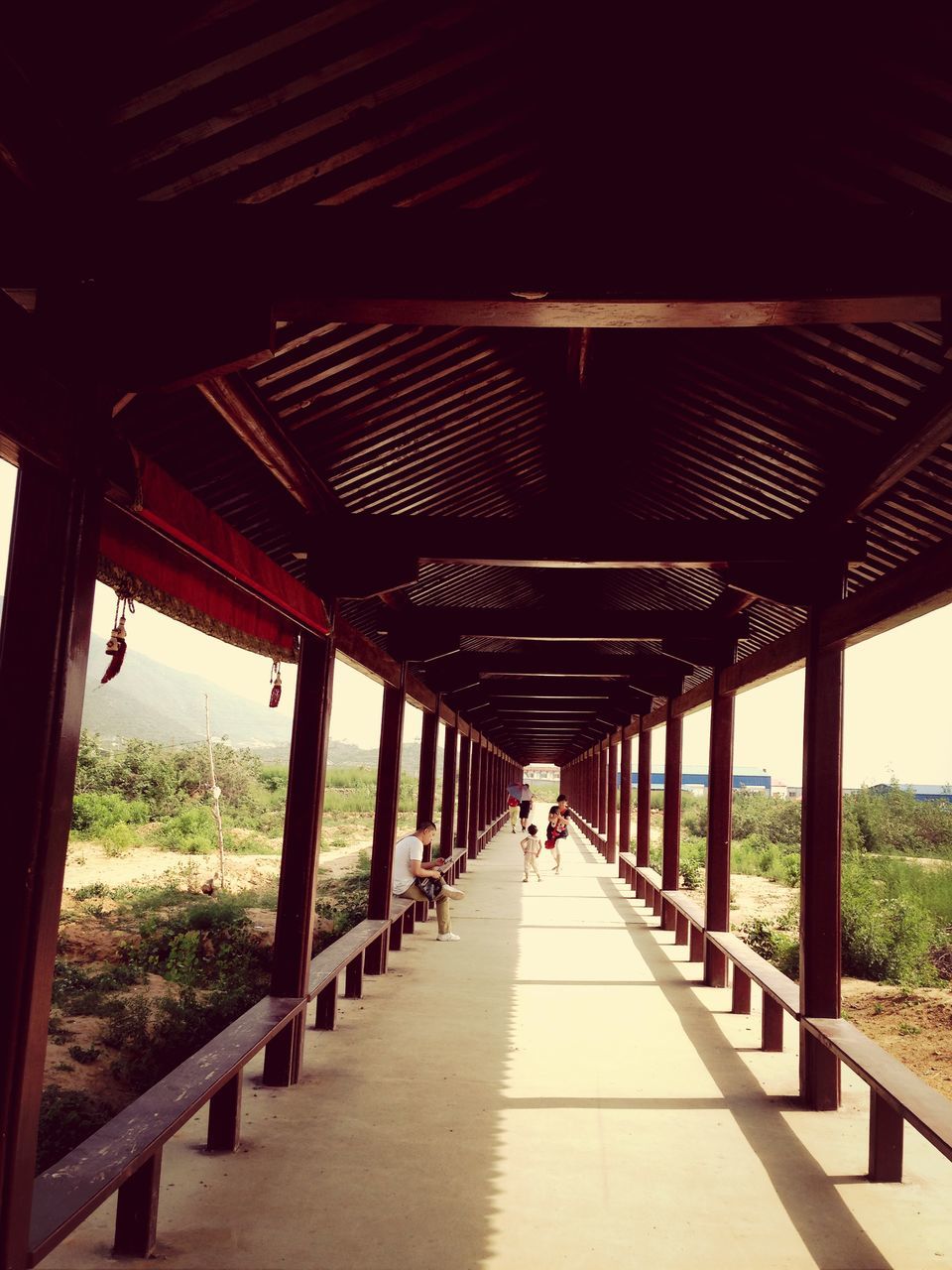 the way forward, diminishing perspective, vanishing point, built structure, railing, walkway, architecture, long, connection, footbridge, narrow, bridge - man made structure, footpath, pathway, empty, incidental people, tranquility, tree, sunlight, nature