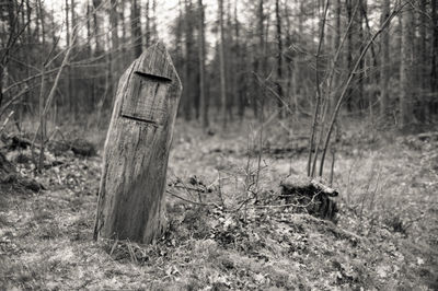 Wooden posts on field