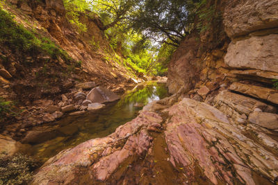 Rock formations in forest