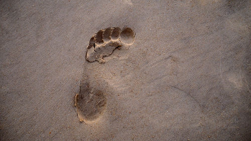 Close-up of footprints on sand