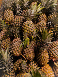 ananas