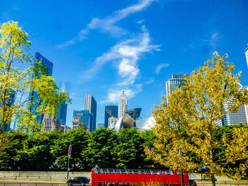 Trees and cityscape against blue sky