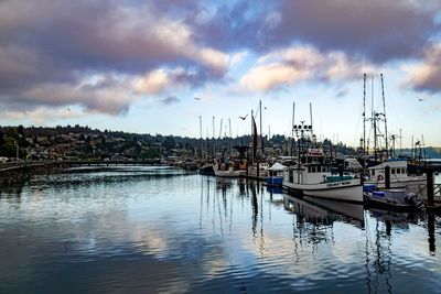 Sailboats moored at harbor against cloudy sky