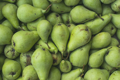 Full frame photography of freshly picked green pears on autumn day.