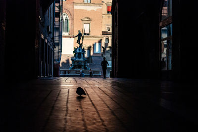 Silhouette pigeon on walkway against statue