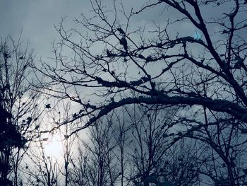 Low angle view of bare tree against sky