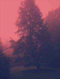 Silhouette trees against sky during sunset