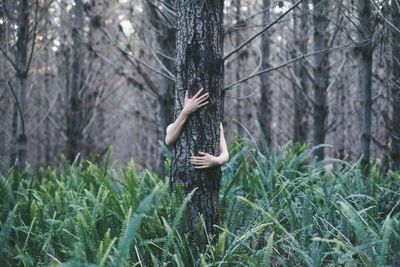 Hand on tree trunk in forest