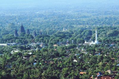 High angle view of trees and buildings in city