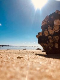 Surface level of rocks on beach against sky on sunny day