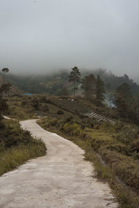 Footpath by road against sky during foggy weather