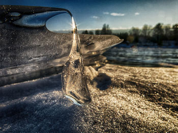 Close-up of ice on sand
