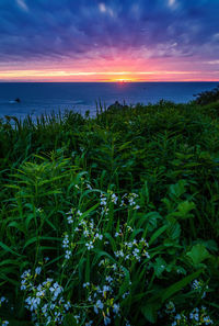 Scenic view of sea against sky during sunset